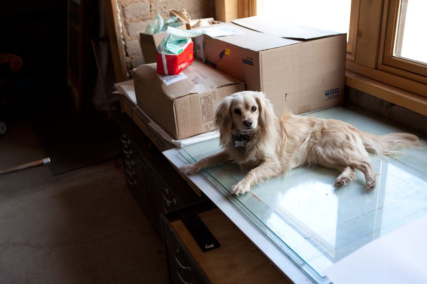 The entire process is overseen and directed by Don's dog Camas, who is named after a white root from Don's wife Charlene Teter's Spokane tribe. The root is used in a variety of ways.